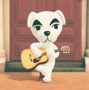 Meet your Posher, Cynthia